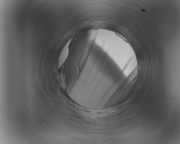 X0000067350046200604212013