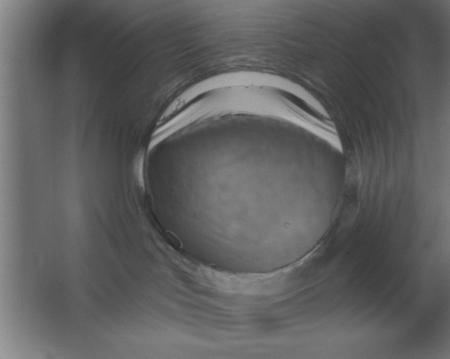 X0000067350047200604212013