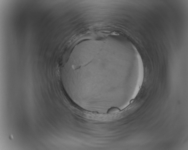 X0000067350048200604212013