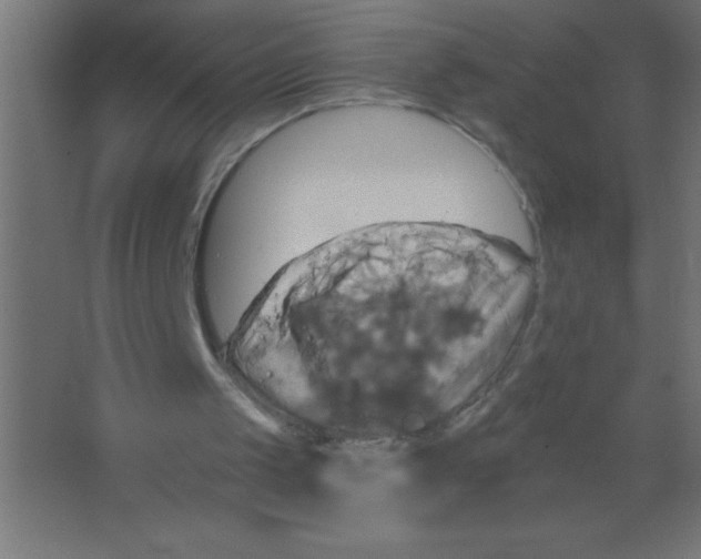 X0000067350049200604212012