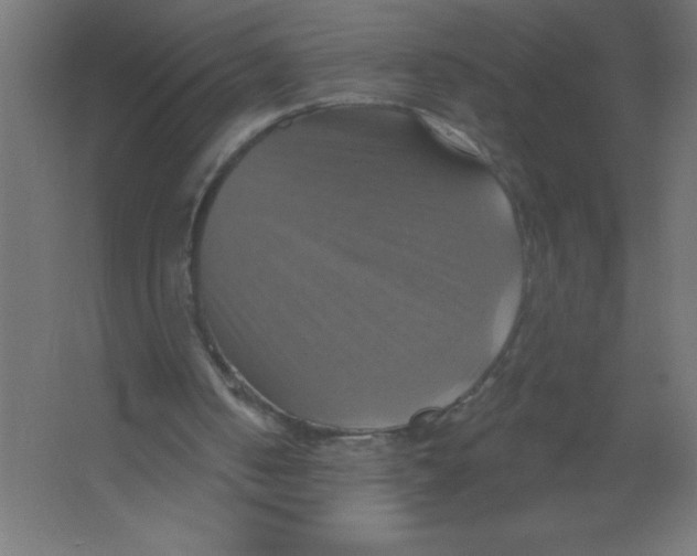 X0000067350050200604212012