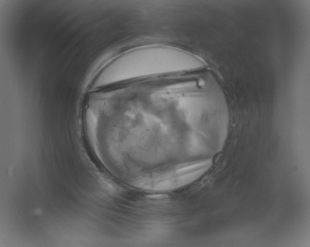 X0000067350053200604212012