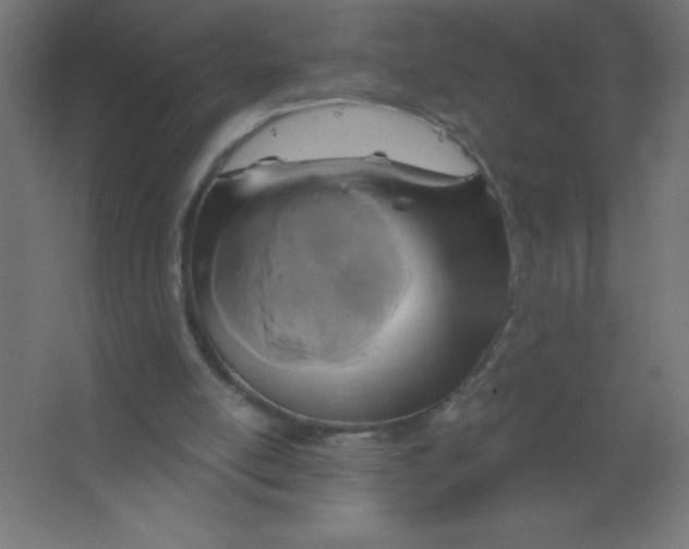 X0000067350054200604212012