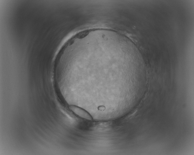 X0000067350056200604212012