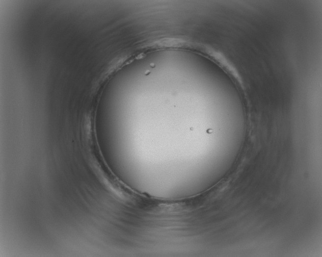 X0000067350057200604212012