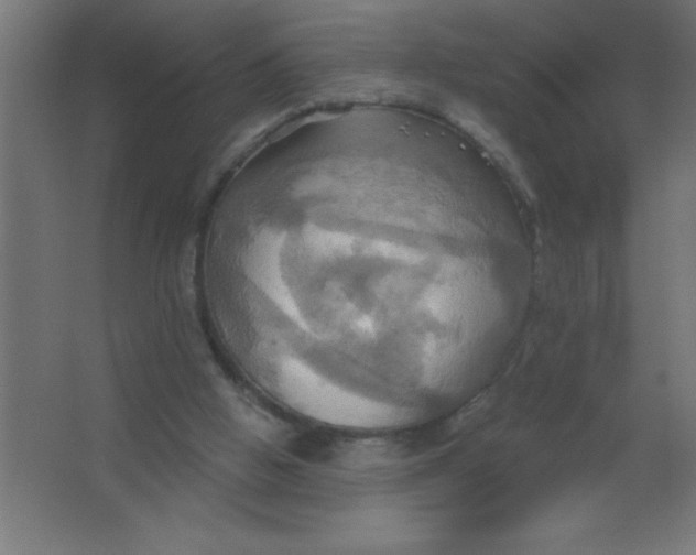 X0000067350058200604212012