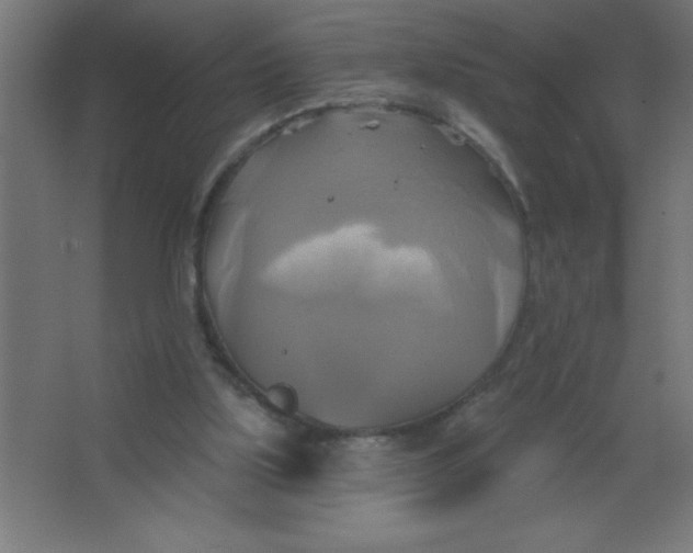 X0000067350059200604212012