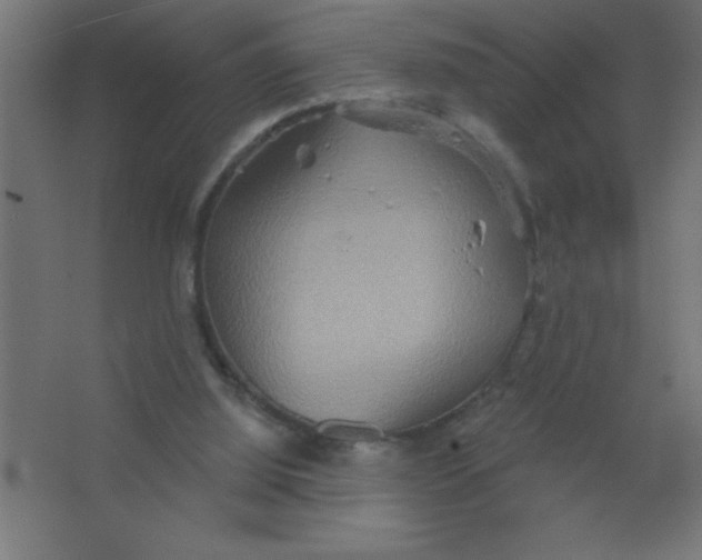 X0000067350060200604212012