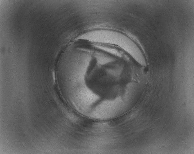 X0000067350061200604212012