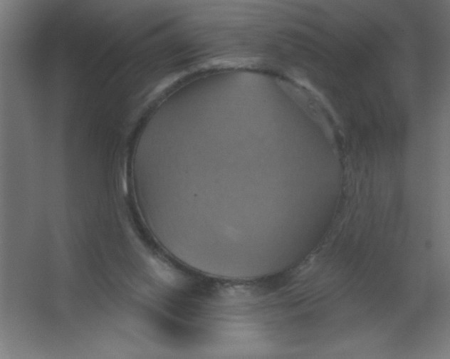 X0000067350062200604212012