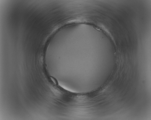 X0000067350063200604212012