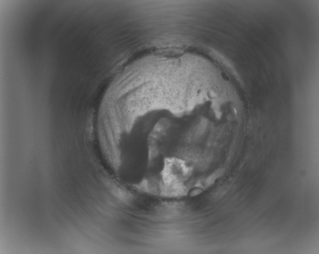 X0000067350065200604212012