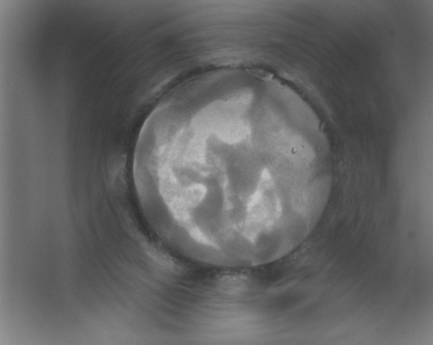 X0000067350066200604212012