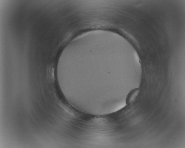 X0000067350067200604212012