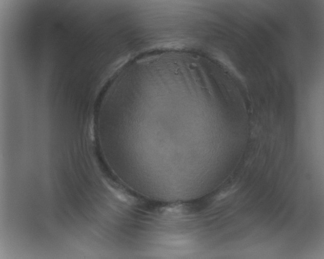 X0000067350068200604212012