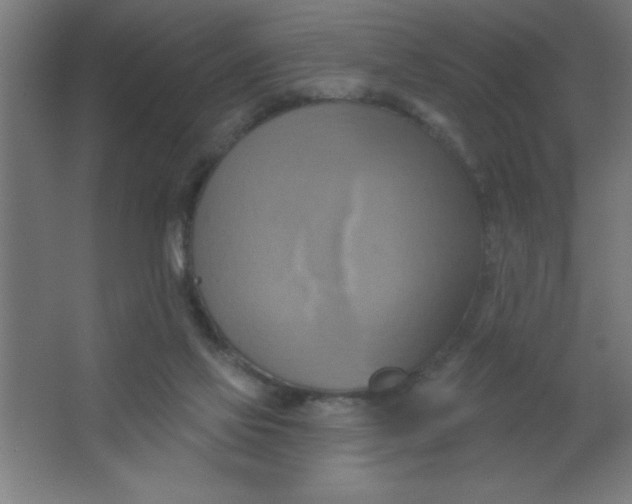 X0000067350069200604212012