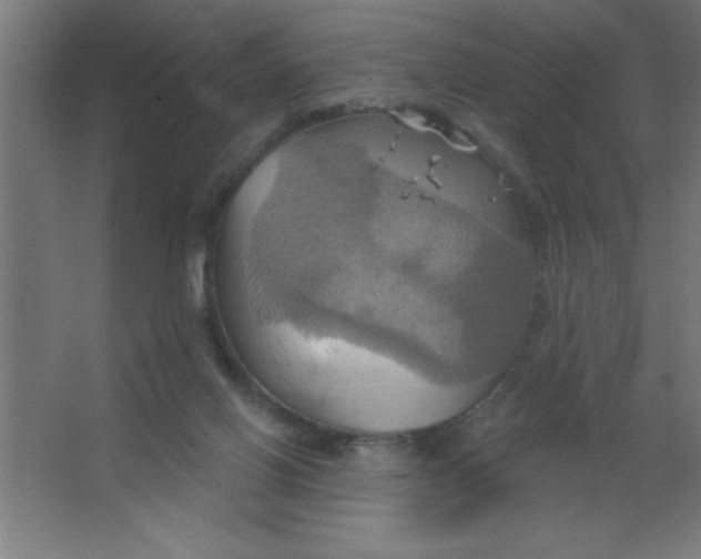 X0000067350070200604212012