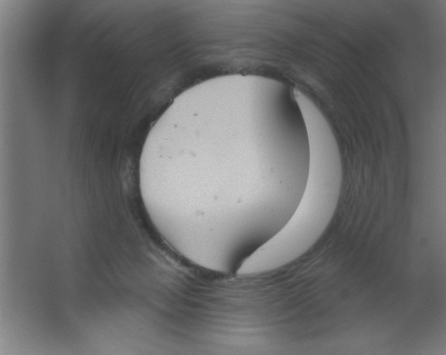 X0000067350077200604212012