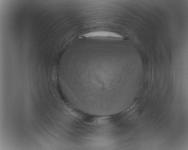 X0000067350078200604212013