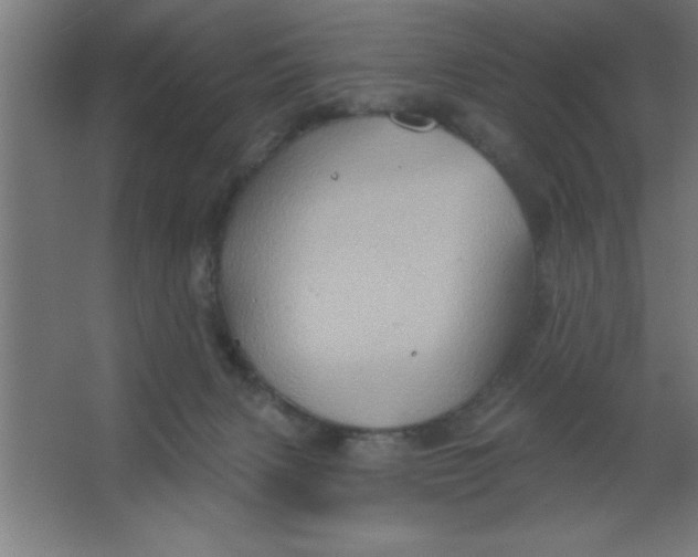 X0000067350079200604212013