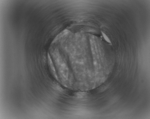 X0000067350085200604212013