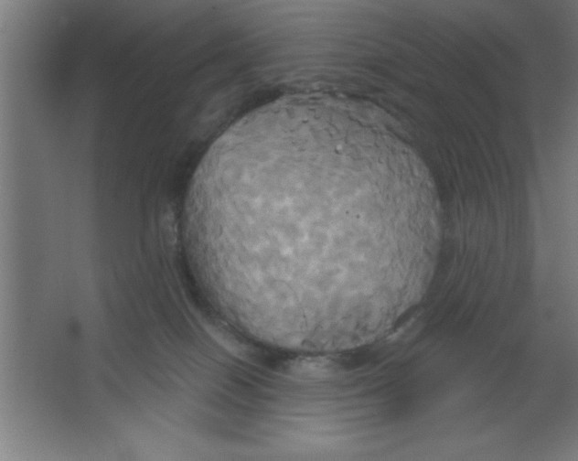 X0000067350086200604212013