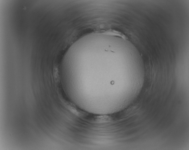 X0000067350087200604212013