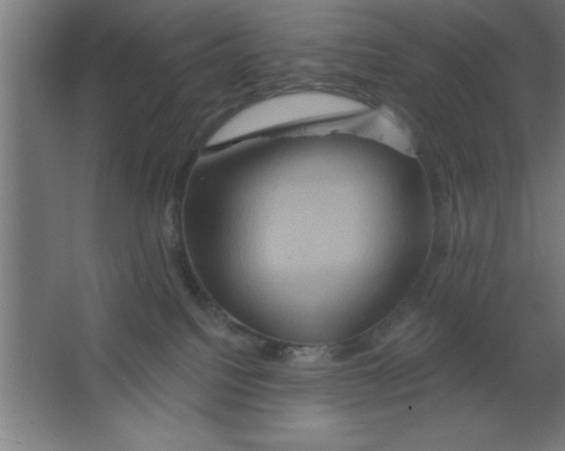 X0000067350088200604212013