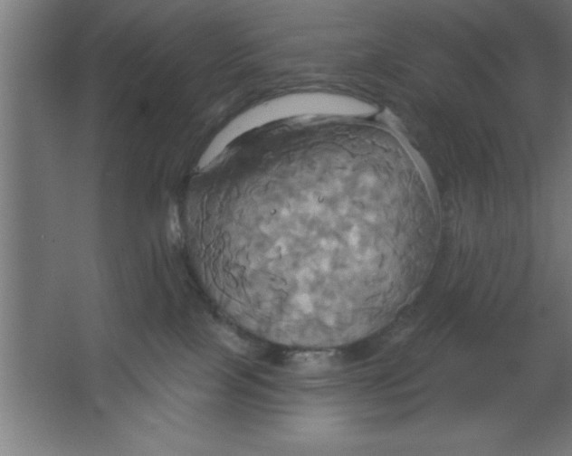 X0000067350089200604212013