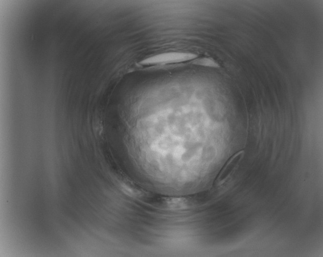 X0000067350091200604212013