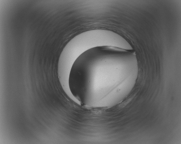 X0000067350096200604212013