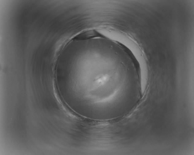 X0000067350097200604212012