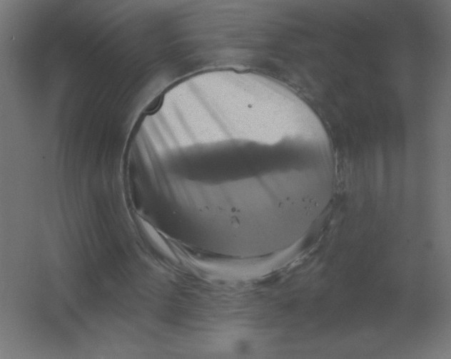 X0000067350099200604212012