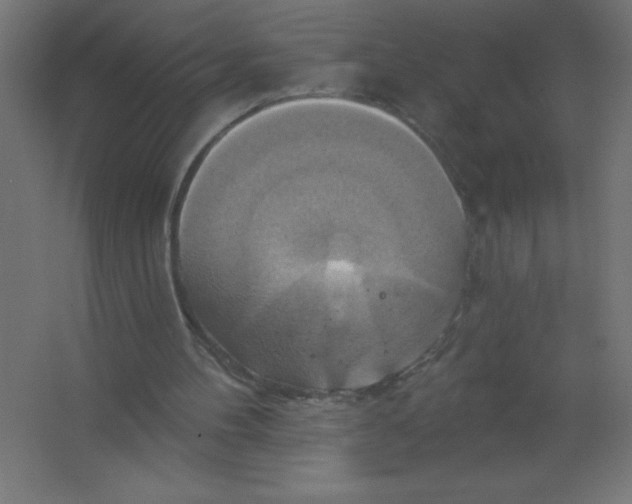 X0000067350100200604212012