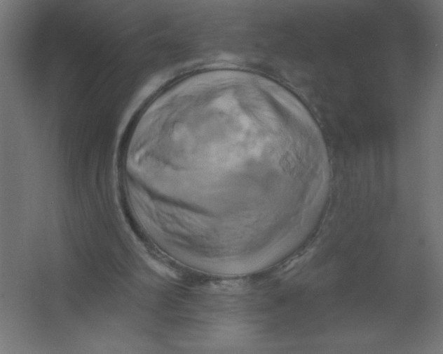 X0000067350102200604212012