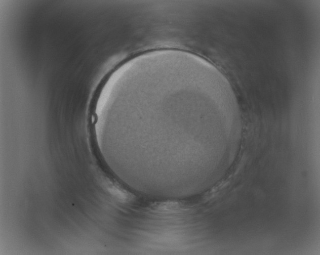 X0000067350104200604212012