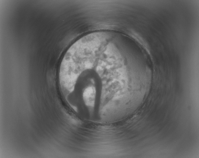 X0000067350107200604212012