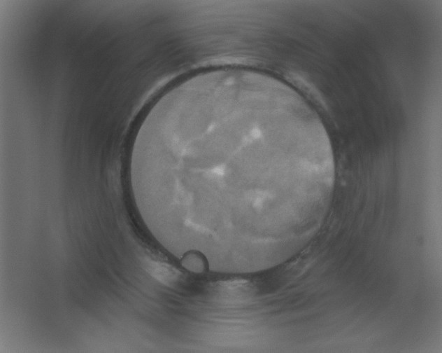 X0000067350108200604212012