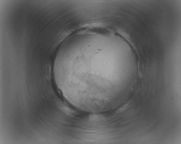 X0000067350109200604212012