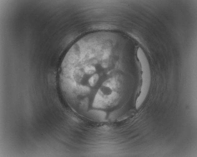 X0000067350111200604212012