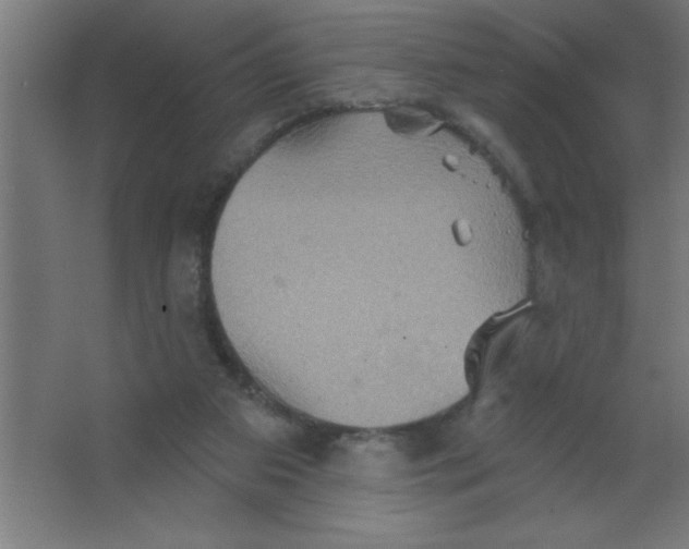 X0000067350113200604212012