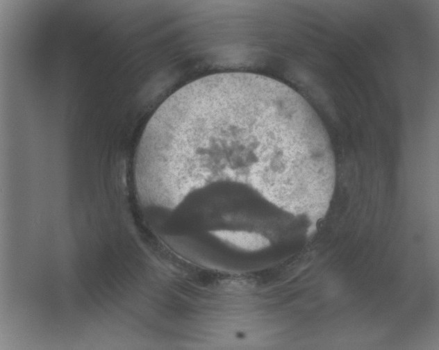 X0000067350115200604212012