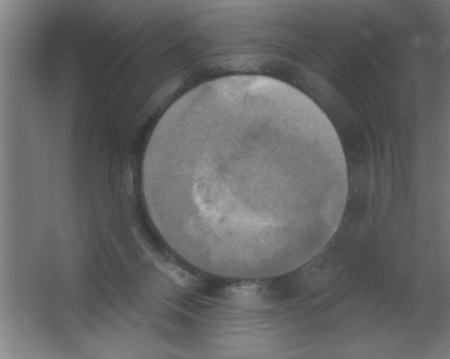 X0000067350120200604212012