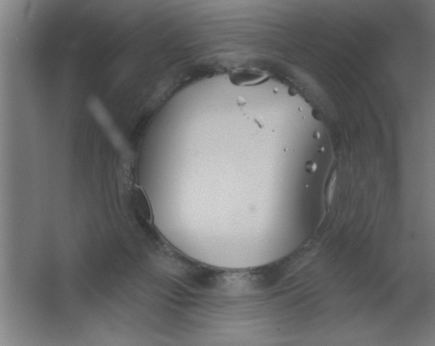 X0000067350121200604212012