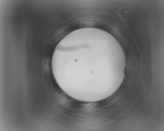 X0000067350122200604212012