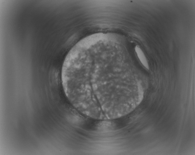 X0000067350123200604212012