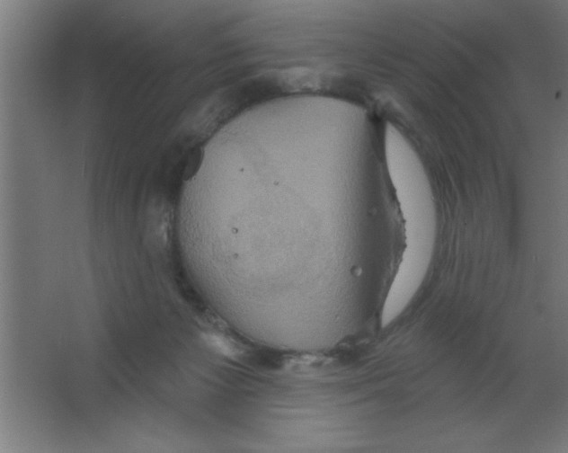 X0000067350125200604212012