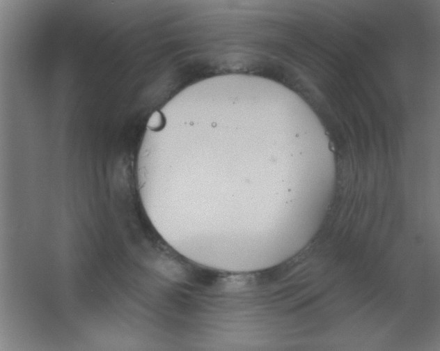 X0000067350126200604212011