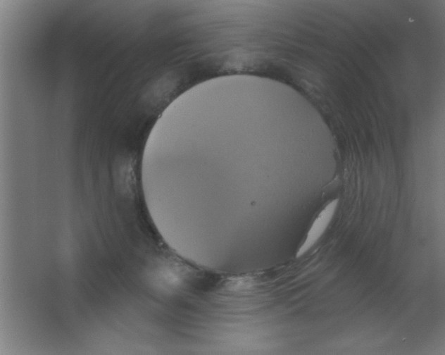 X0000067350127200604212011