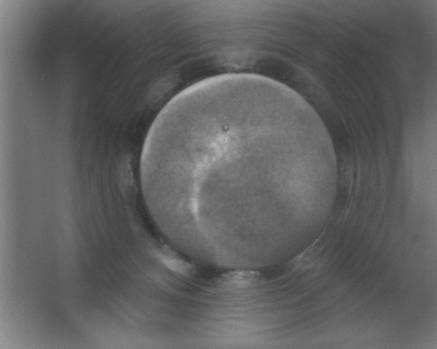 X0000067350128200604212011